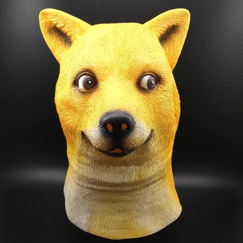  Ӹ ؽ ũ ü   ũ ⼺ ҷ  ȸ  巹,  Ӹ ũ Ƽ ڽ